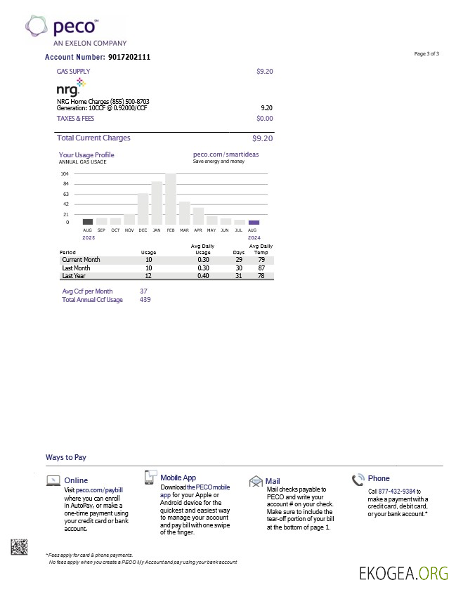 USA Pennsylvania PECO electric and gas utility bill, 3 pages 2